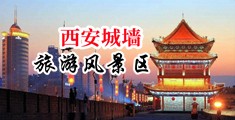 淫水逼AV中国陕西-西安城墙旅游风景区